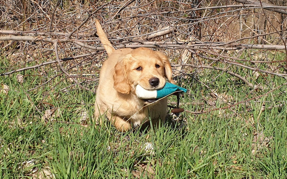 20190401_162729.jpg