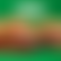 הקמפיין הנורמלי של בורגר קינג