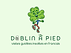 Dublin à pied logo