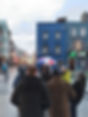 20241123_155759.jpg
