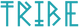 client-4_edited.png
