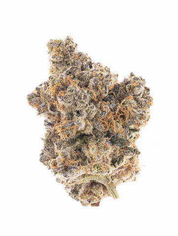 Slurricane-05.jpg