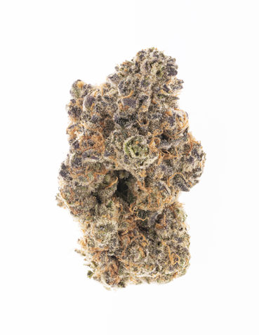 Slurricane-03.jpg