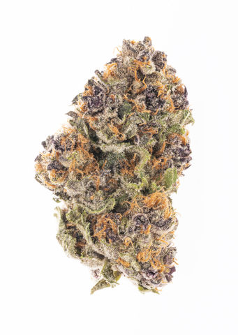 Slurricane-10.jpg