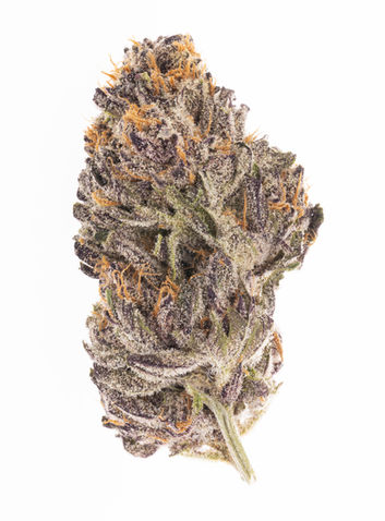 Slurricane-07.jpg