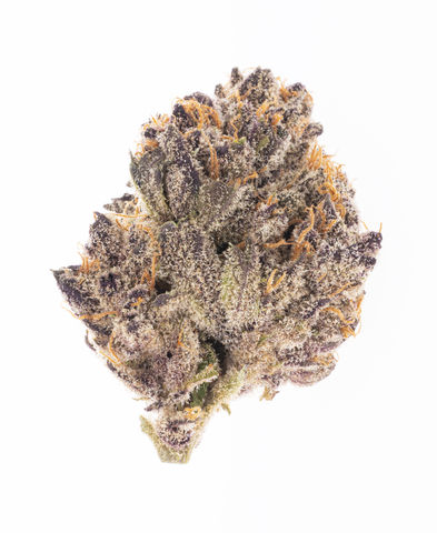 Slurricane-16.jpg