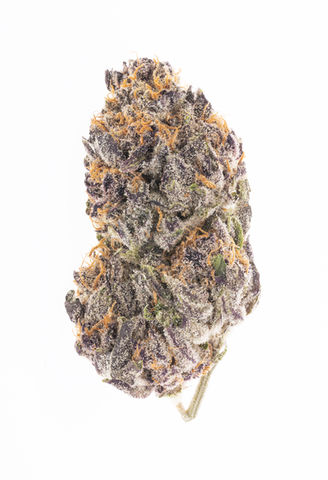 Slurricane-08.jpg