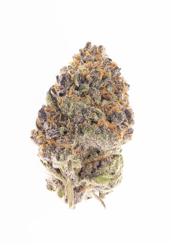 Slurricane-12.jpg