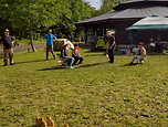 BS20260503-3.jpg