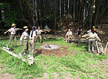 BS20260426-1.jpg