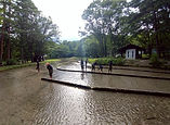 BS20250801-02-2.jpg
