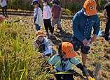 BS20261010-3.jpg