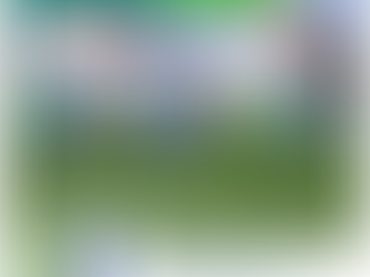 Alemannen-Echo TSG 1846 Bretzenheim