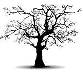 tree%20favicon_edited.png