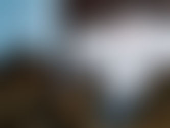 日本人為什麼對併購這麼敏感？（Photo Credit：日産 Press Release）