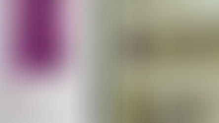 《小老百姓的刀械犯罪應對指南》中日文版（Photo Credit：Lorry攝）