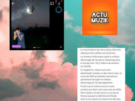 Harry Styles cartonne avec son nouvel album "Kiss all The time, disco, occasionally"