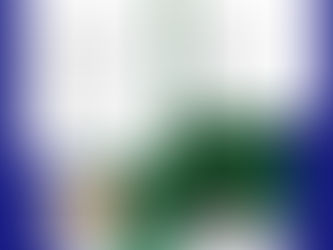 URBAN 10 FRANCE (31/10/25)