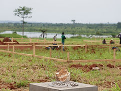 Sabongo Baustart 17-04-23 (2).JPG