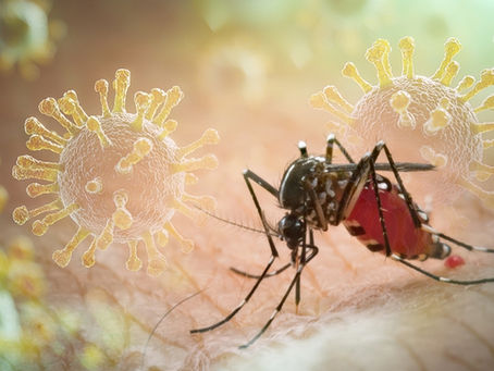 Nisstex – Dengue