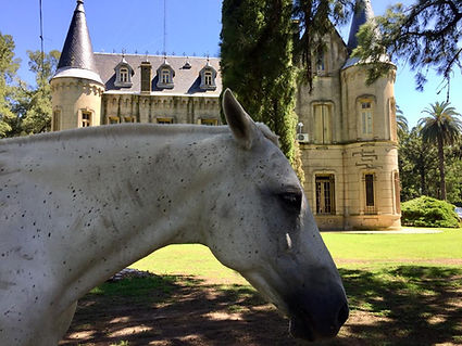 Caballo y castillo.jpeg