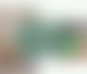 Home Stagers Help Real Estate Agents Stop Wasting Their "Free Time"