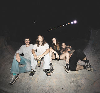 Copie de promo-paysage__anatheme SEX SHOP MUSHROOMS.jpg