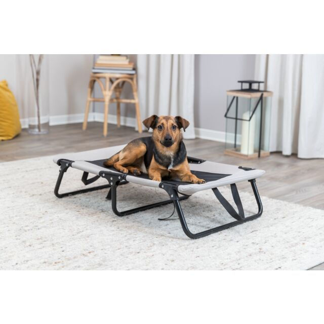Chaise longue pour chien