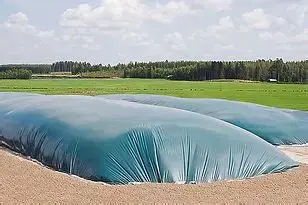 silage.webp