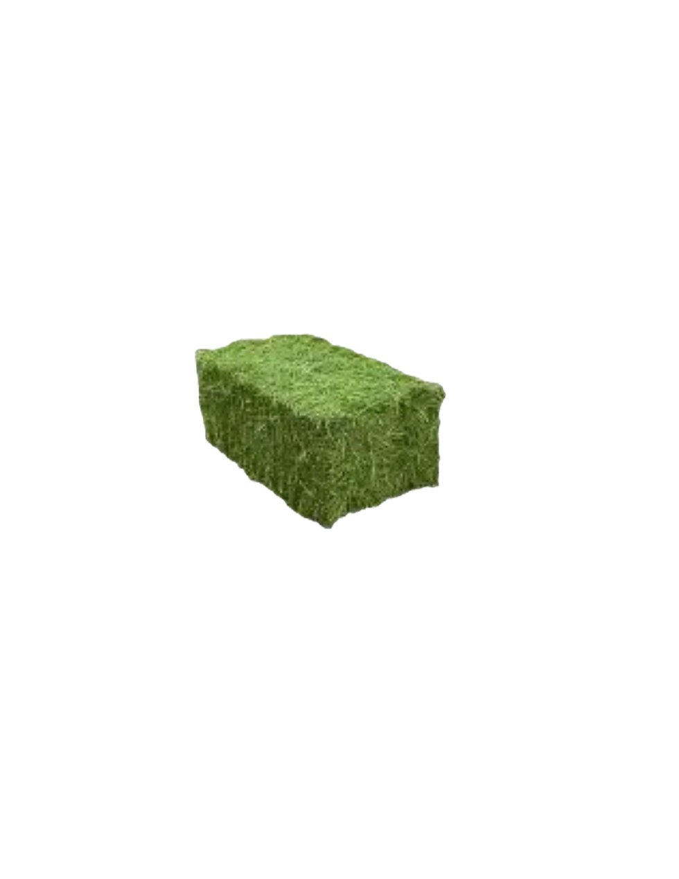 Untitled design (3)_edited.png