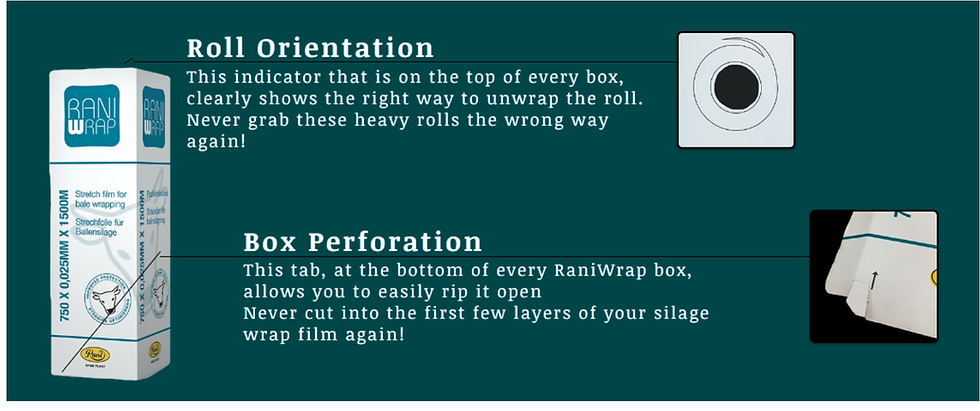 Untitled design (7).png