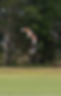 Flying4.png
