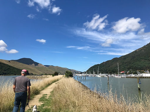 Beautiful walking track, Motueke Pathway to the harbour entrance of Havelock taken by Rach