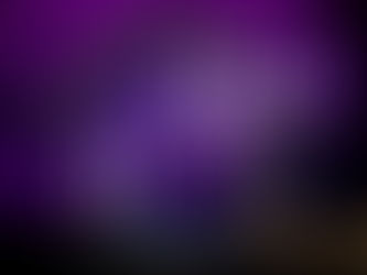 Big News!!:Vega411 Season 7 Premiers in Jan!