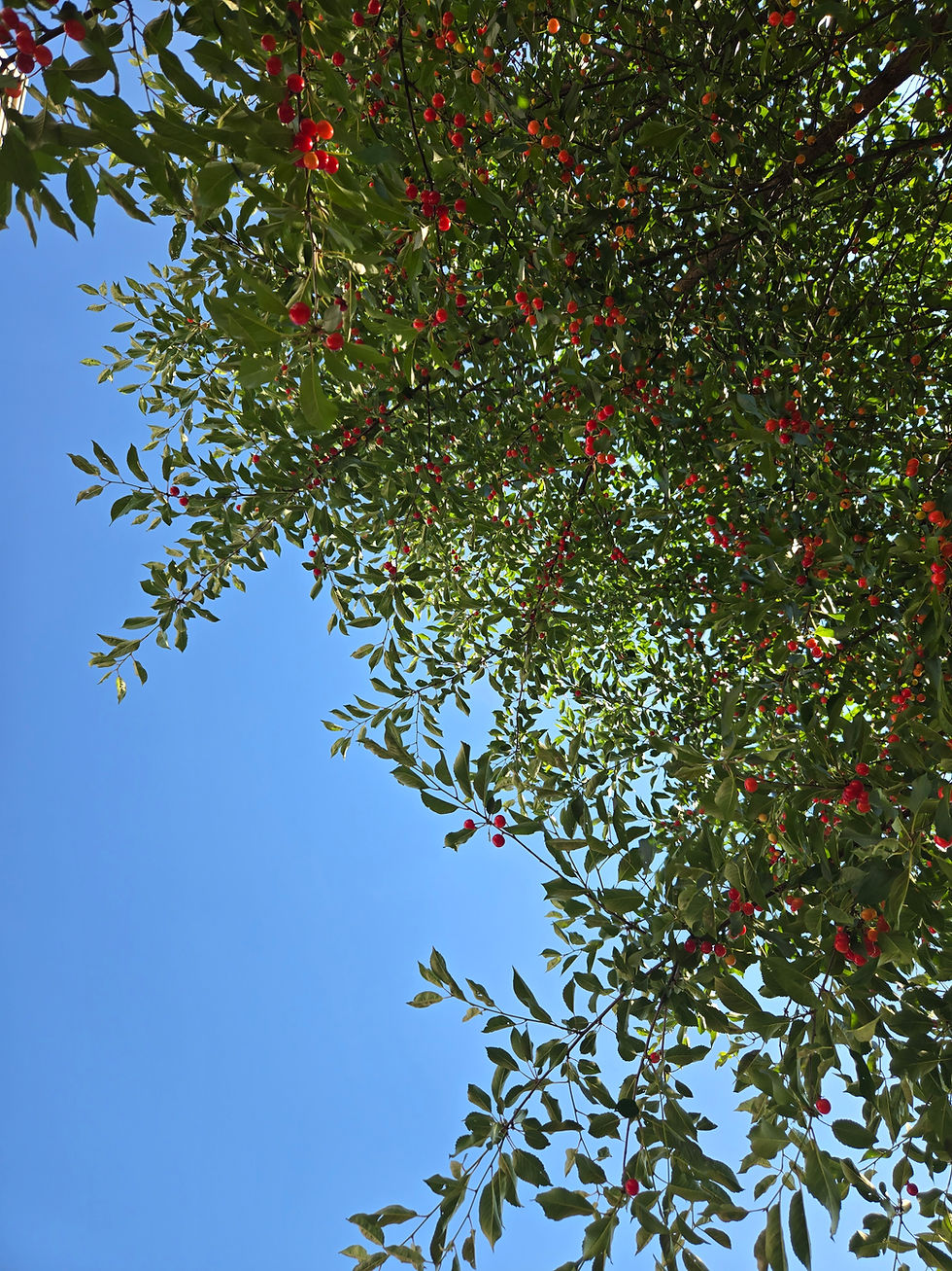 20260627_173257.jpg
