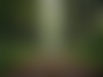 Insights on Healing and Survival - Healing and Growth Posts