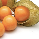 golden berries_edited.png