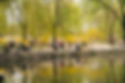 北京圓明園