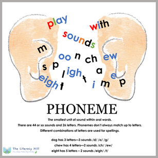 WHAT IS A PHONEME?