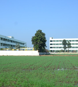 DSC_3233.JPG