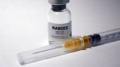 Rabies Vaccine (3 Doses needed) Sheffield