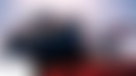 Why you need a Customs Consultant 