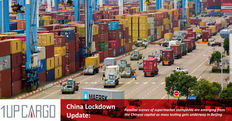Port congestion grows as China’s capital braces for Shanghai syndrome