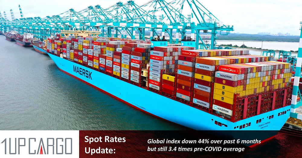 Fall in container spot rates ‘much steeper,’ ‘less orderly’ than expected