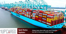 Fall in container spot rates ‘much steeper,’ ‘less orderly’ than expected