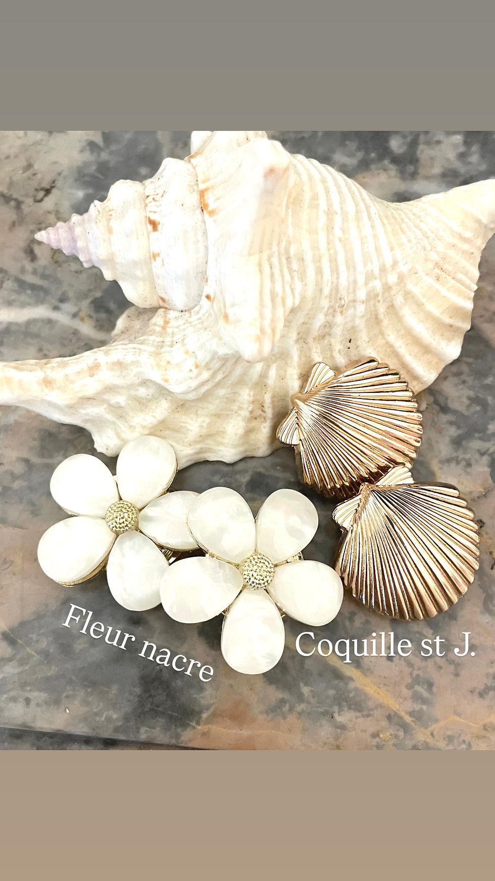 Miniature : Bijou de chemise