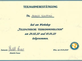 Tierkommunikation_edited_edited.jpg