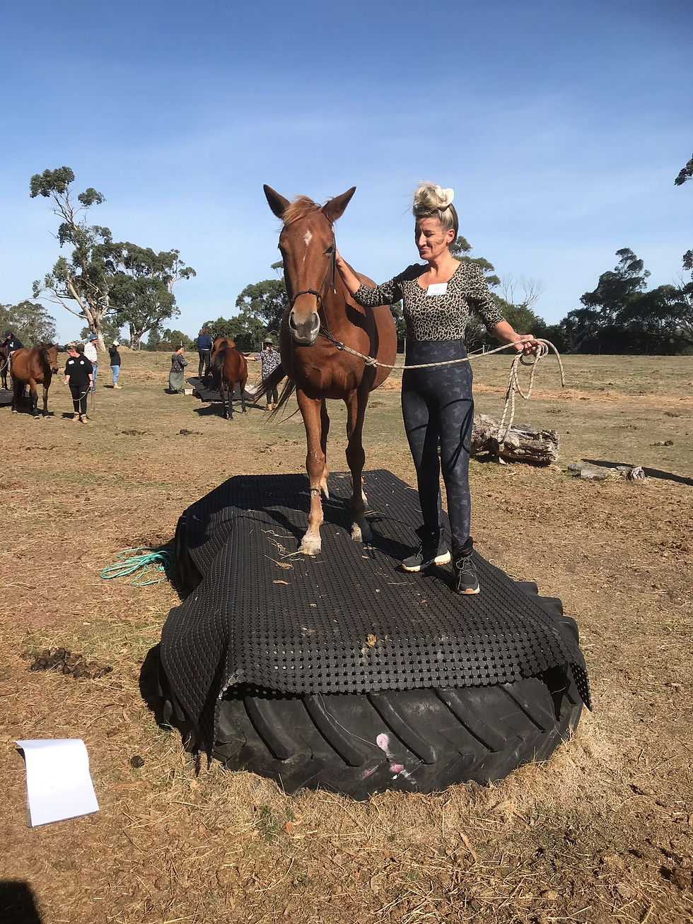 Thumbnail: Masterclass in Natural Horsemanship - Growing into a confident rider & owner