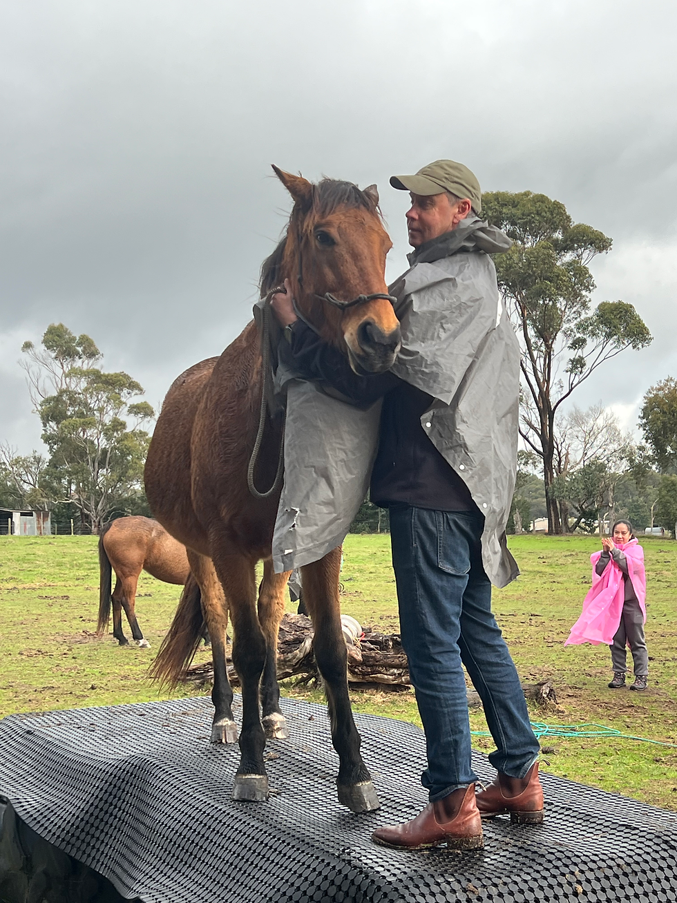 Thumbnail: 2 hr Natural Horsemanship Experience (min 2 people)