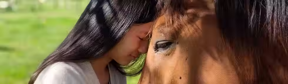 Guided Horse Meditation